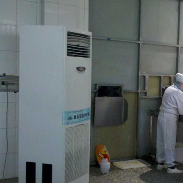 鹰潭食品正负离子空气杀菌器